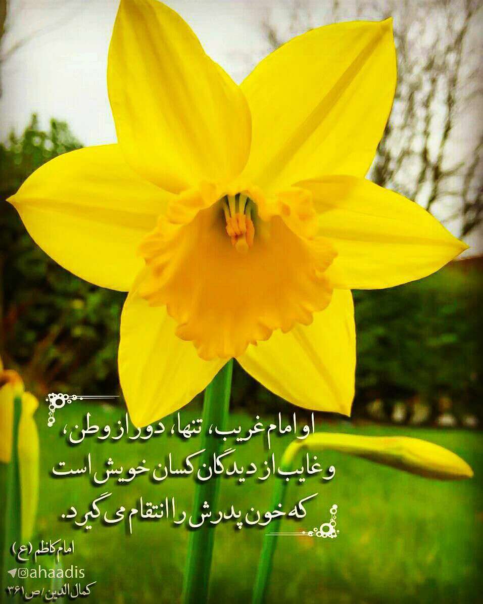 حدیثی از امام کاظم